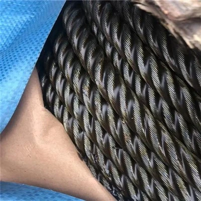 Bright Bum Elevatis Steel filum Funis
